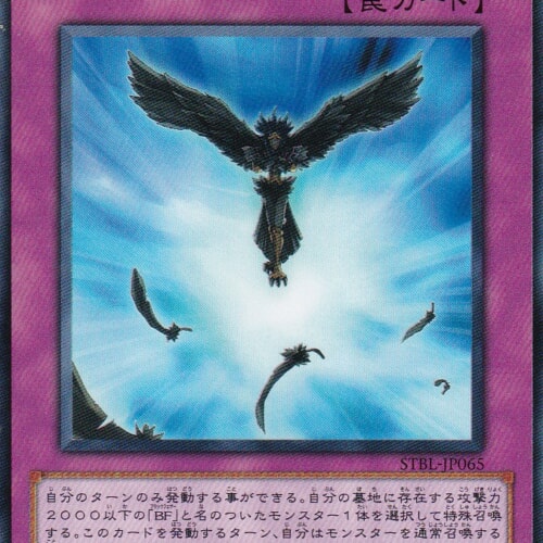 STBL-JP065-R