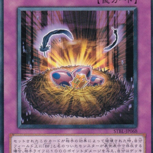 STBL-JP068-N