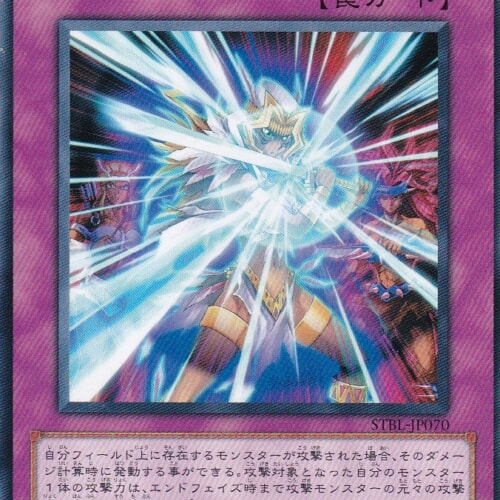 STBL-JP070-N