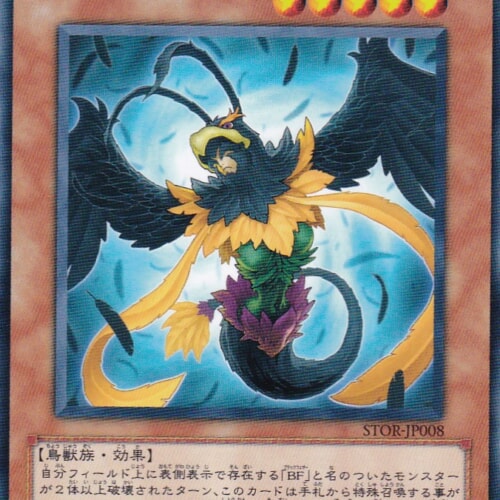 STOR-JP008-N