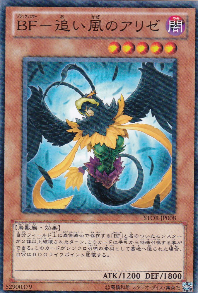 STOR-JP008-N