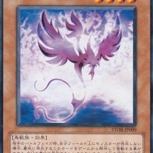 STOR-JP009-N