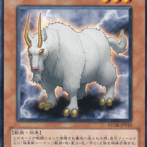 STOR-JP010-N