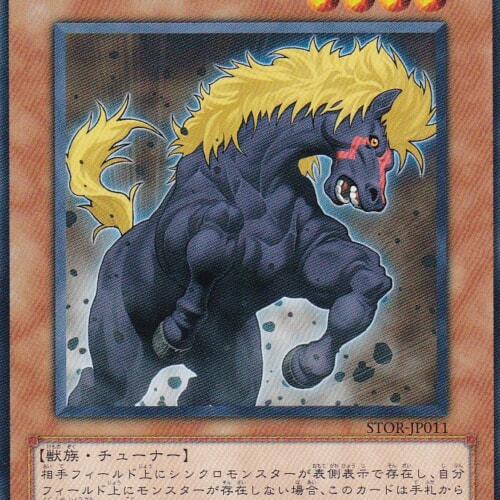 STOR-JP011-R