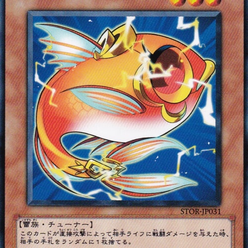 STOR-JP031-R