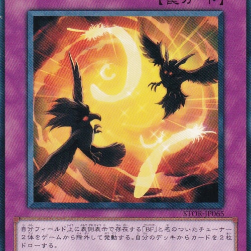 STOR-JP065-N