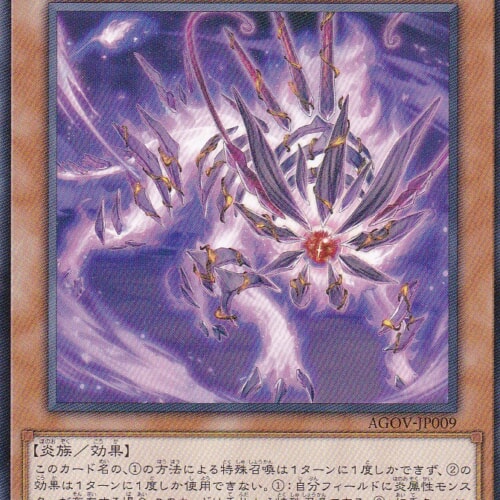 AGOV-JP009-N