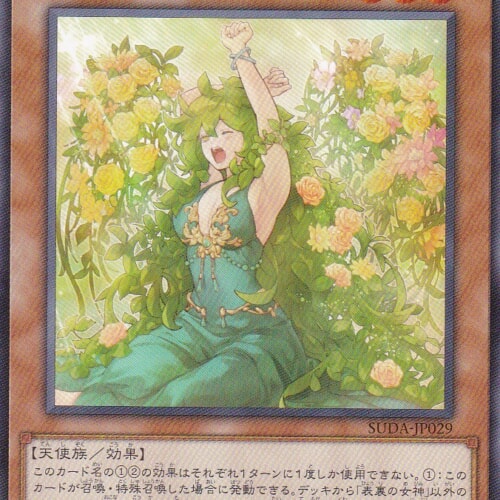 SUDA-JP029-N