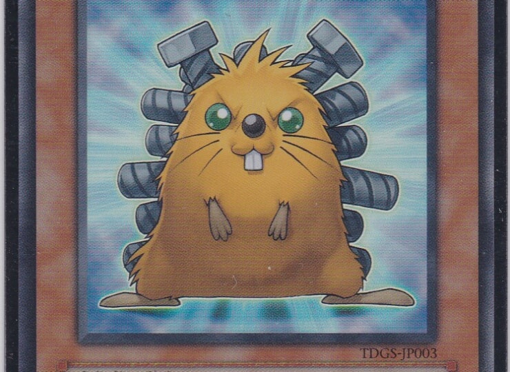 TDGS-JP003-SR