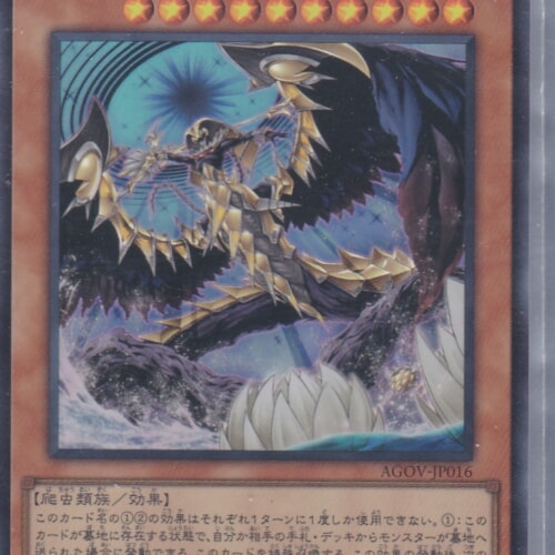 AGOV-JP016-SR