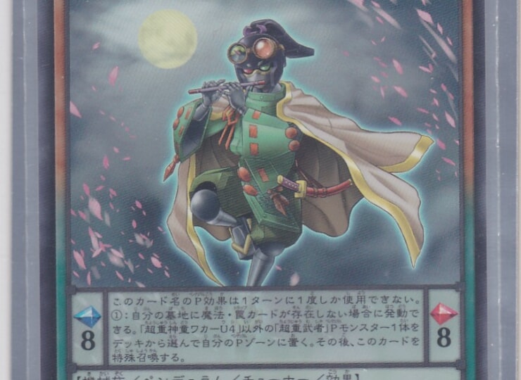 CYAC-JP006-SR