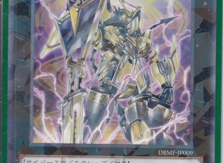 DBMF-JP009-NP