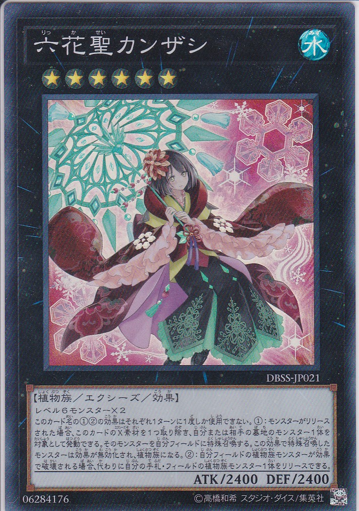 DBSS-JP021-SR