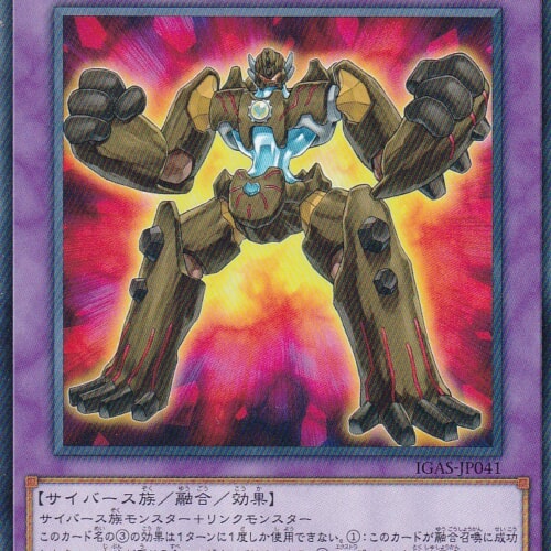 IGAS-JP041-R