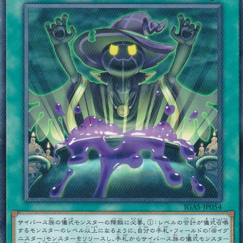 IGAS-JP054-N