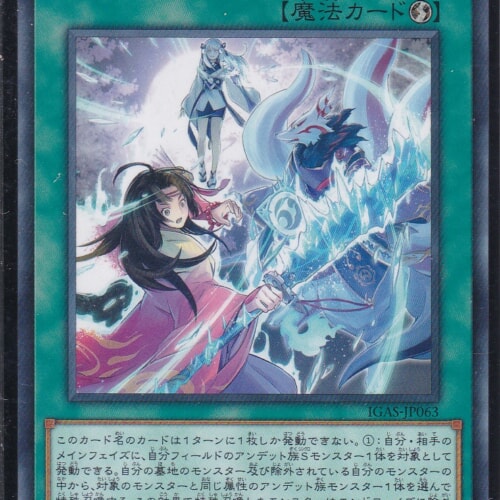 IGAS-JP063-N