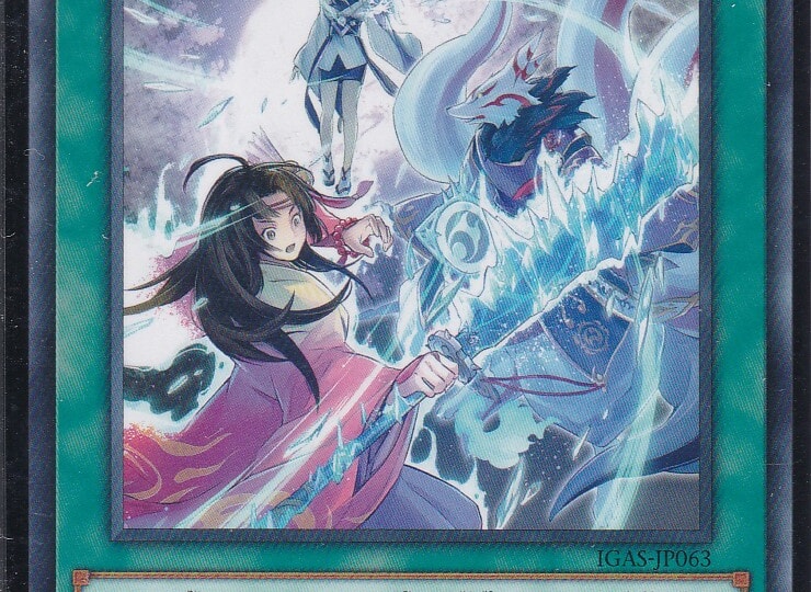 IGAS-JP063-N