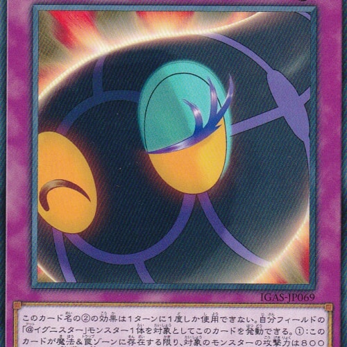 IGAS-JP069-N
