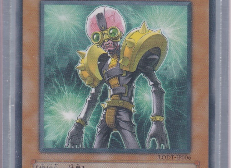 LODT-JP006-R