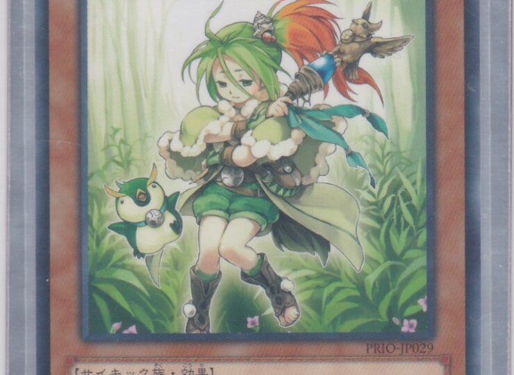 PRIO-JP029-N
