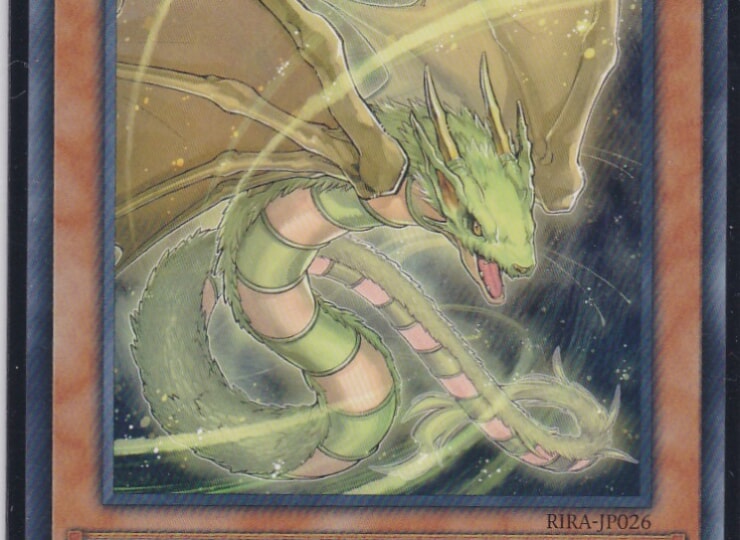 RIRA-JP026-N