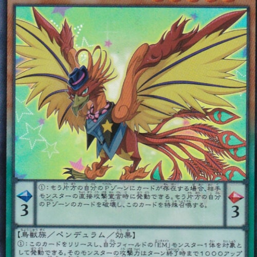 SHVI-JP003-SR