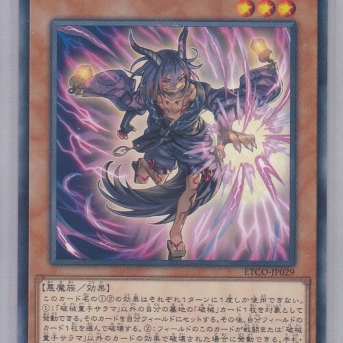 ETCO-JP029-N