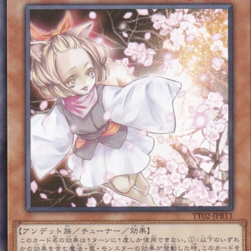 TT02-JPB11-N