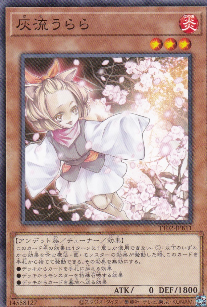 TT02-JPB11-N