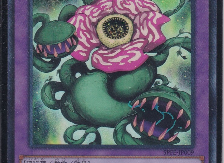 SPFE-JP009-SR