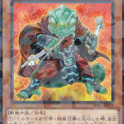 SPRG-JP017-NP