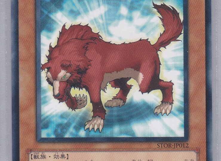 STOR-JP012-N