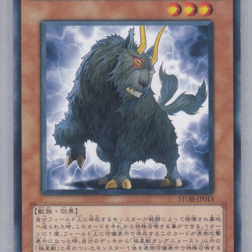 STOR-JP013-R