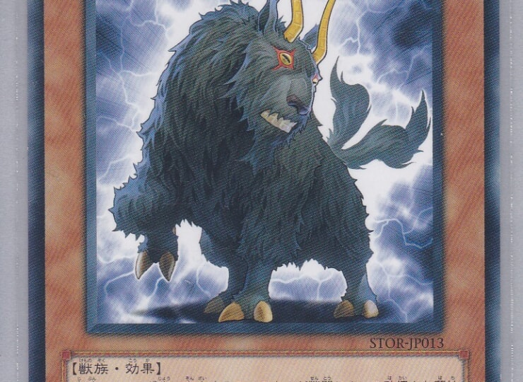 STOR-JP013-R