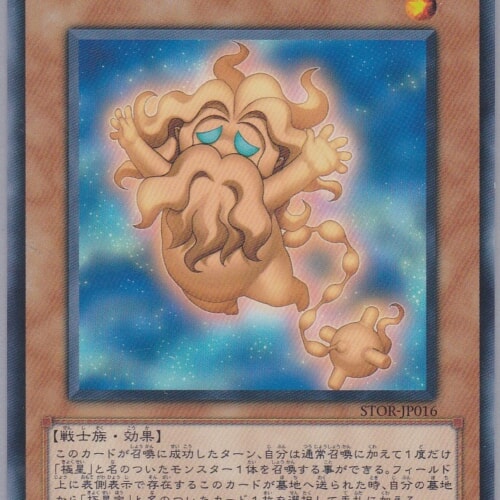 STOR-JP016-R