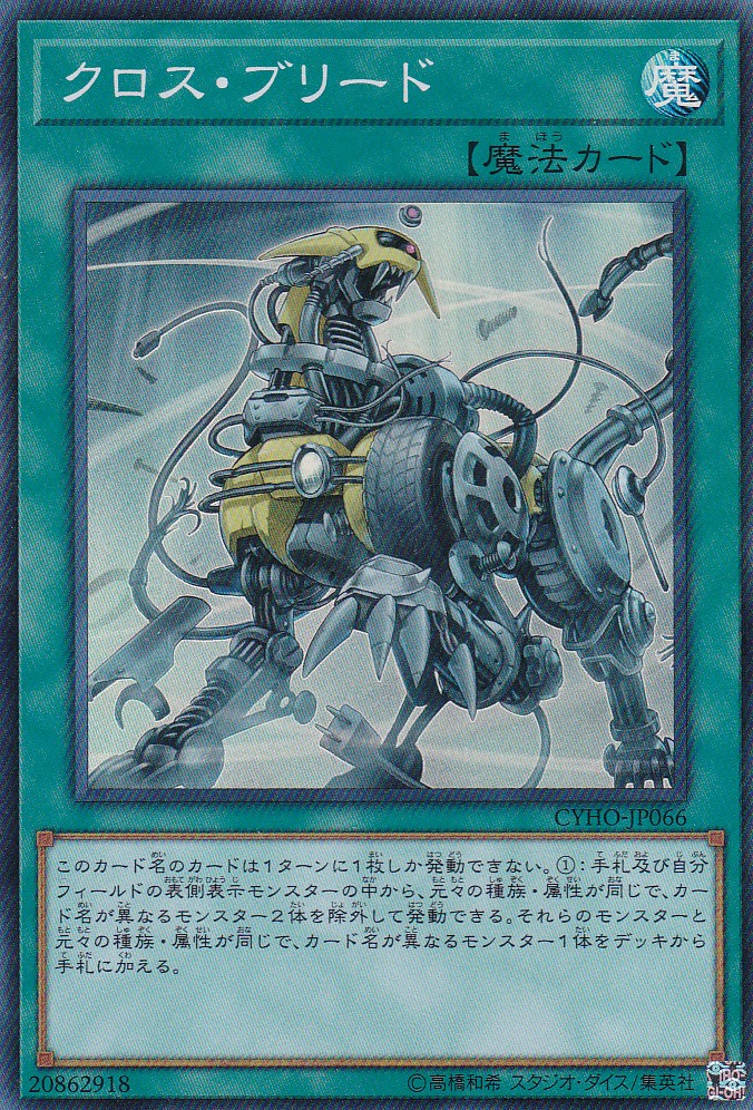 CYHO-JP066-SR
