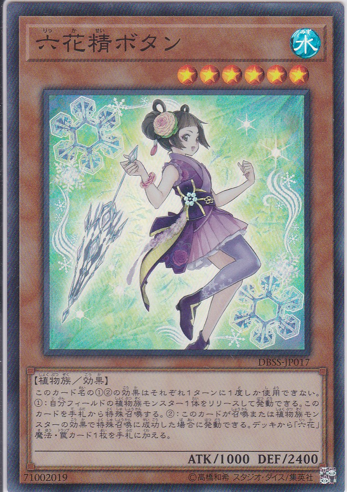DBSS-JP017-SR