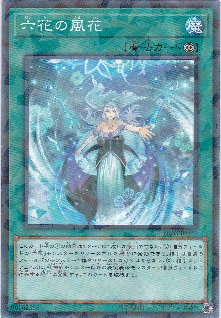 DBSS-JP024-NP