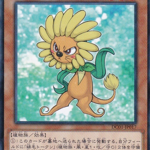 DC01-JP017-N