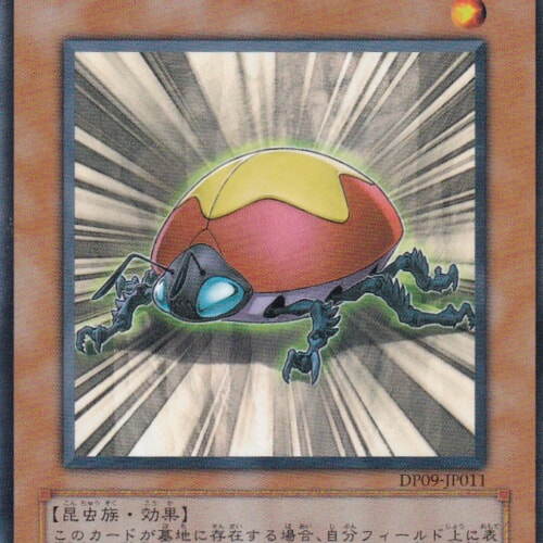 DP09-JP011-N