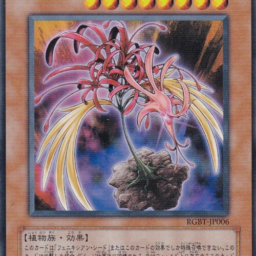 RGBT-JP006-N