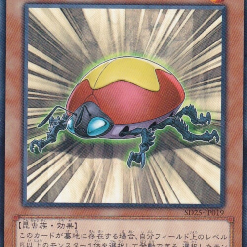 SD25-JP019-N