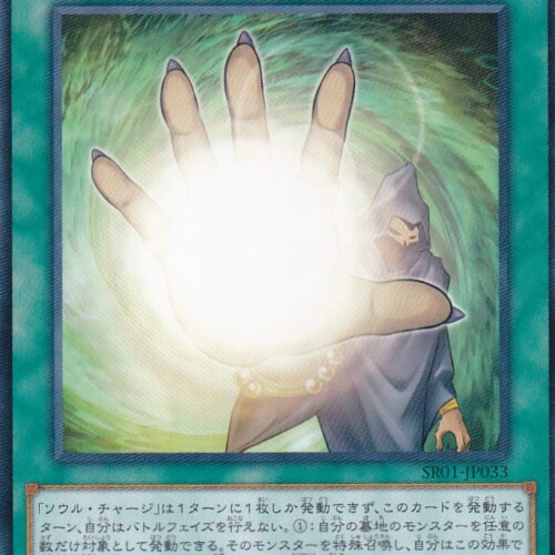 SR01-JP013-N