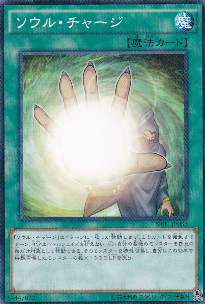SR01-JP013-N