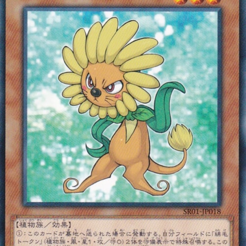 SR01-JP018-N