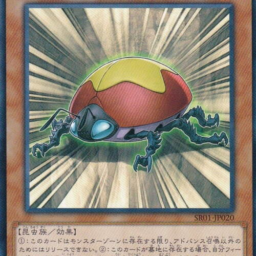 SR01-JP020-N